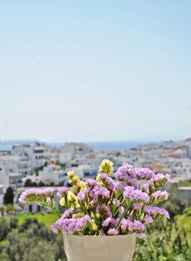 Filoxenia Hotel Tinos Ngoại thất bức ảnh